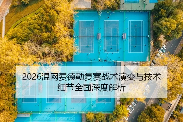 wen-wang-fei-de-lei-fu-sai-zhan-shu-yan-bian-yu-ji-shu-xi-jie-quan-mian-shen-du-jie-xi-2-349.jpg