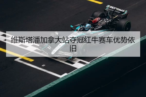 wei-si-ta-pan-jia-na-da-zhan-duo-guan-hong-niu-sai-che-you-shi-yi-jiu-2-469.jpg